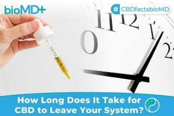 How Long Alcohol Stays Your System Urine Blood